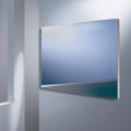 Raminex combi spiegel 100 x 70cm